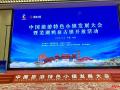 中国旅游特色小镇发展大会在鸠兹古镇开放之际召开