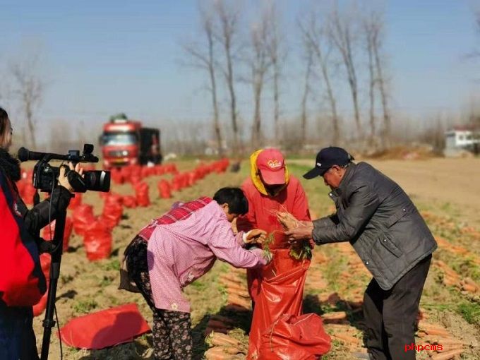皖北煤电扶贫工作队带领群众致富见实效